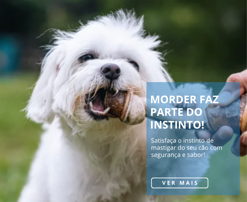 [mobile] FullBanner-Mordedores