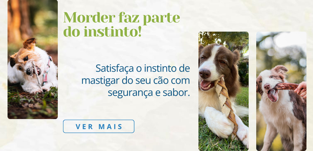 [mobile] FullBanner-Mordedores