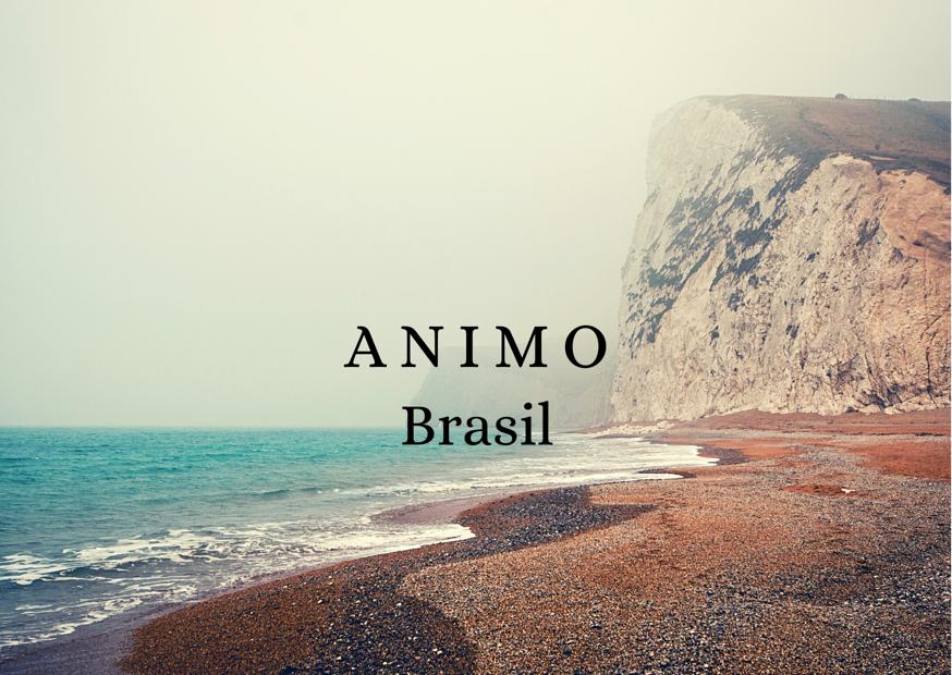 Banner Full - Animo 2