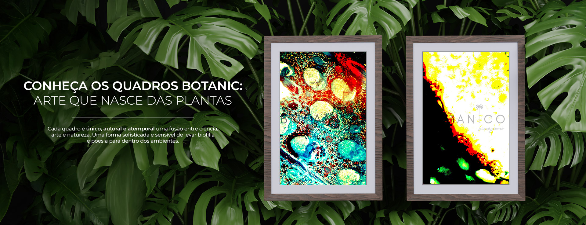 Quadros Botanic