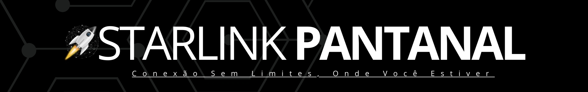 Starlink Pantanal