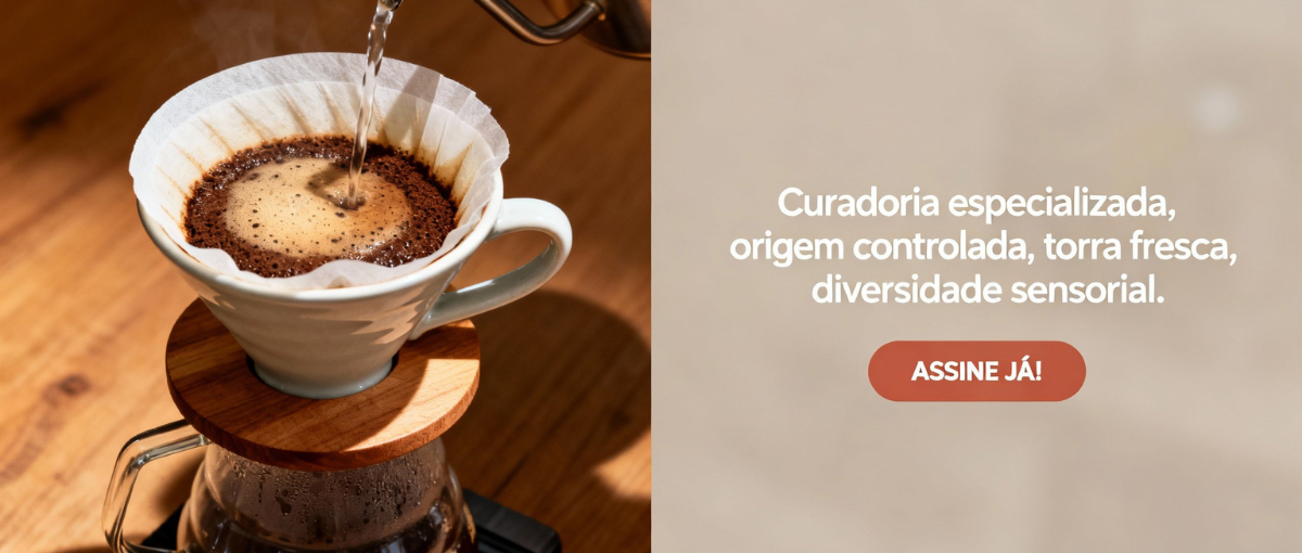 Curadoria Especializada