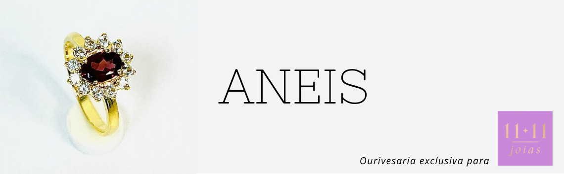 BANNER ANEIS