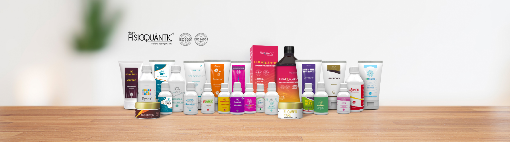 fisioquantic