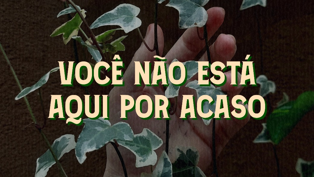 CONHEÇA NOSSOS ATENDIMENTOS