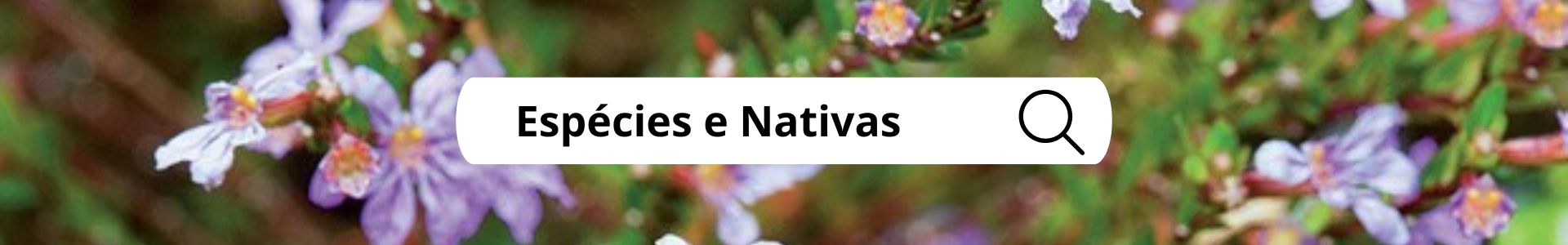 ESPECIES NATIVAS