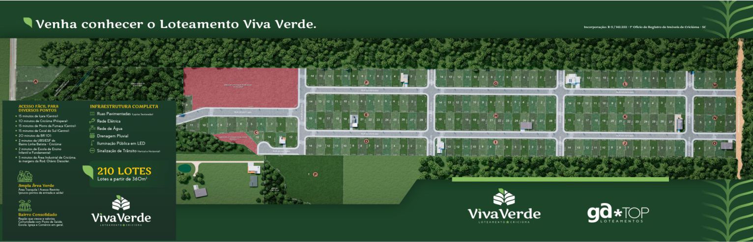 viva verde