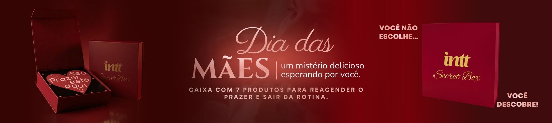 dia das mães