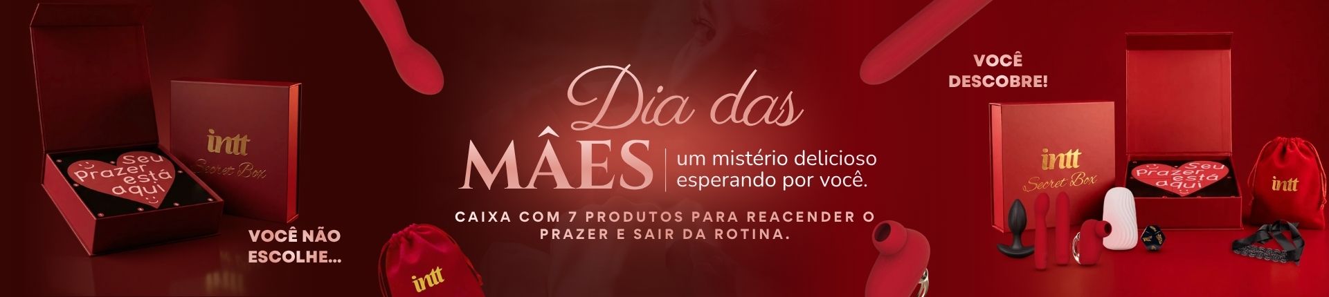 dia das mães