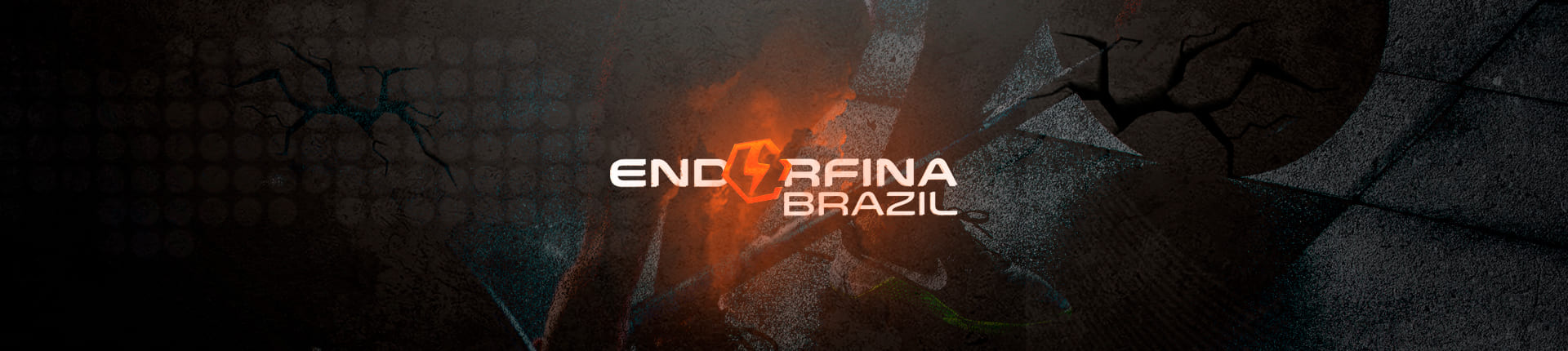 BANNER PRINCIPAL