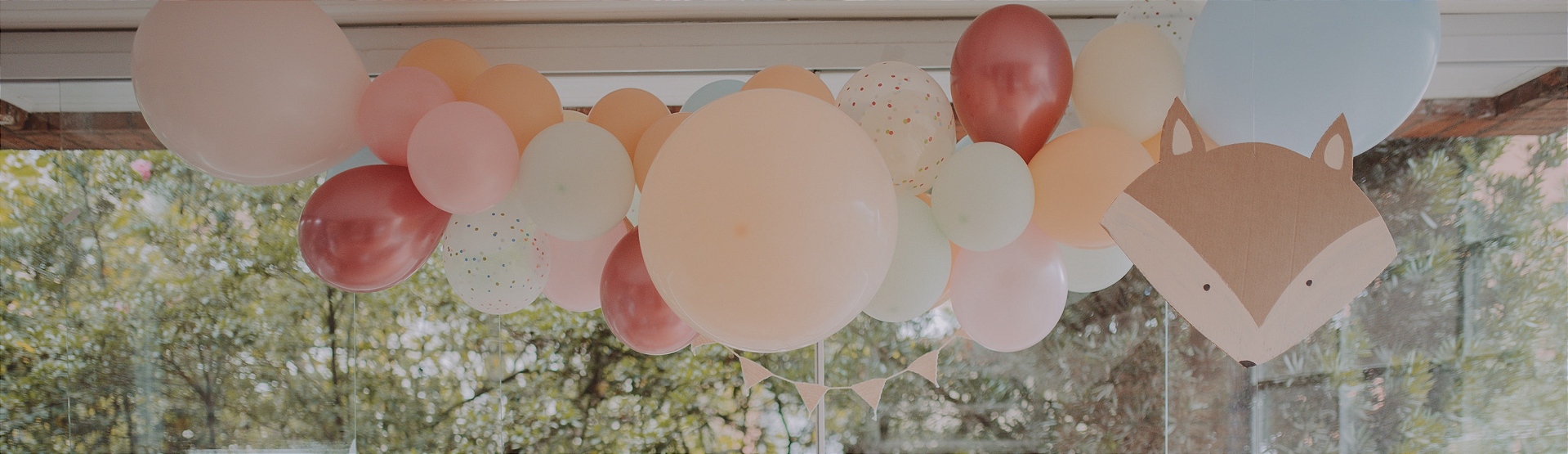 Banner Full 01