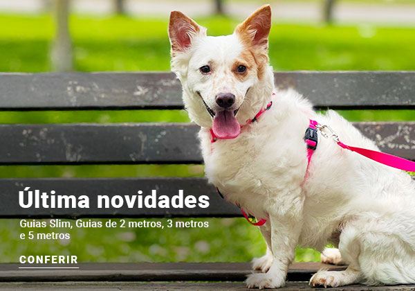 Vamos Passear mobile