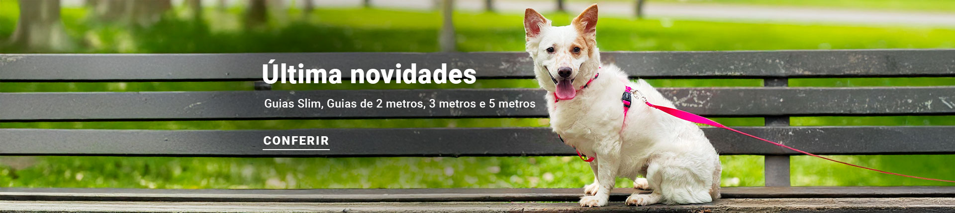 Vamos Passear