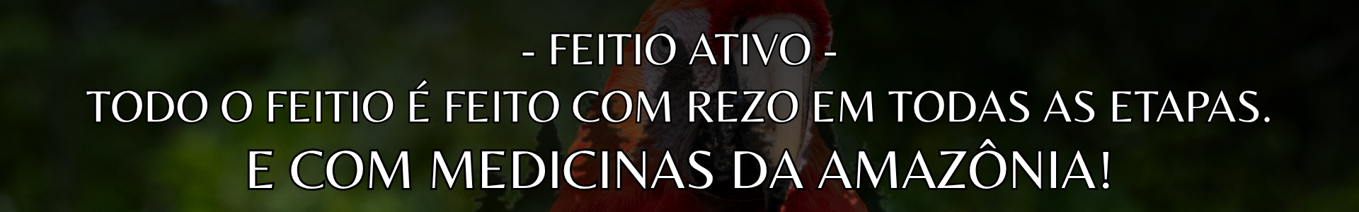 BANNER 3 MED AMAZONIA