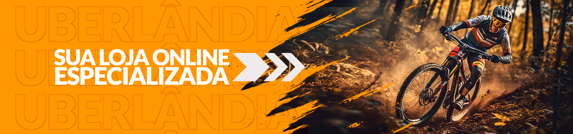 fullbanner@desktop