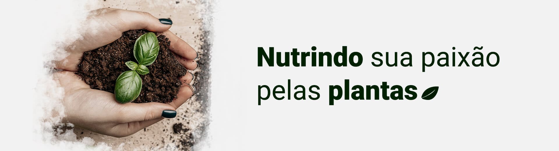 Orquifert Nutrindo