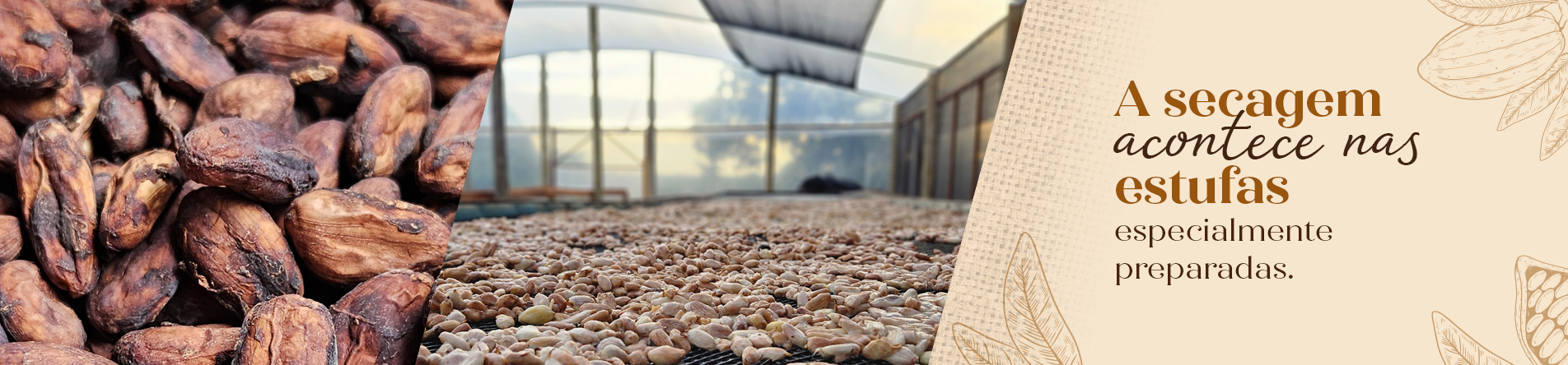 Secagem