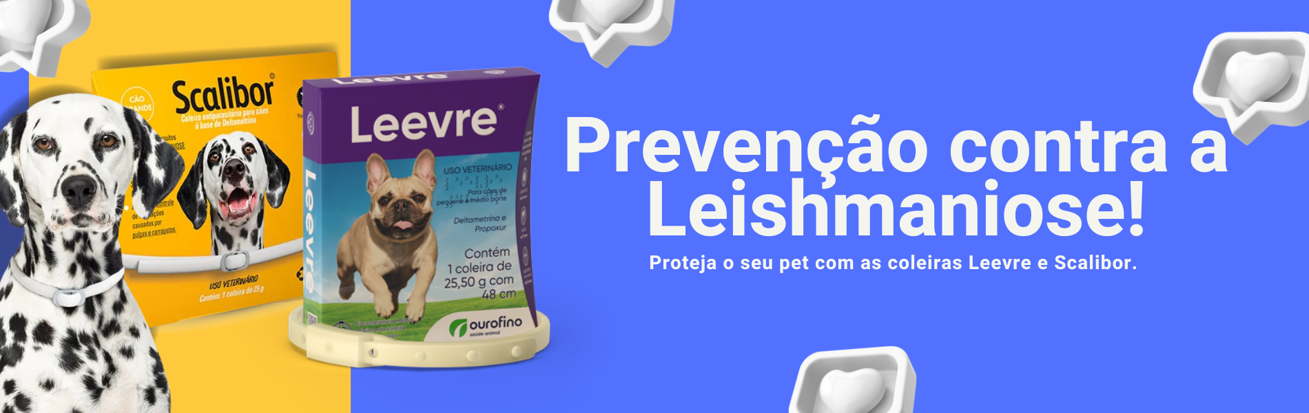 leishmaniose