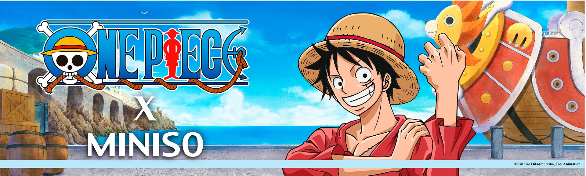 BANNER ONE PIECE