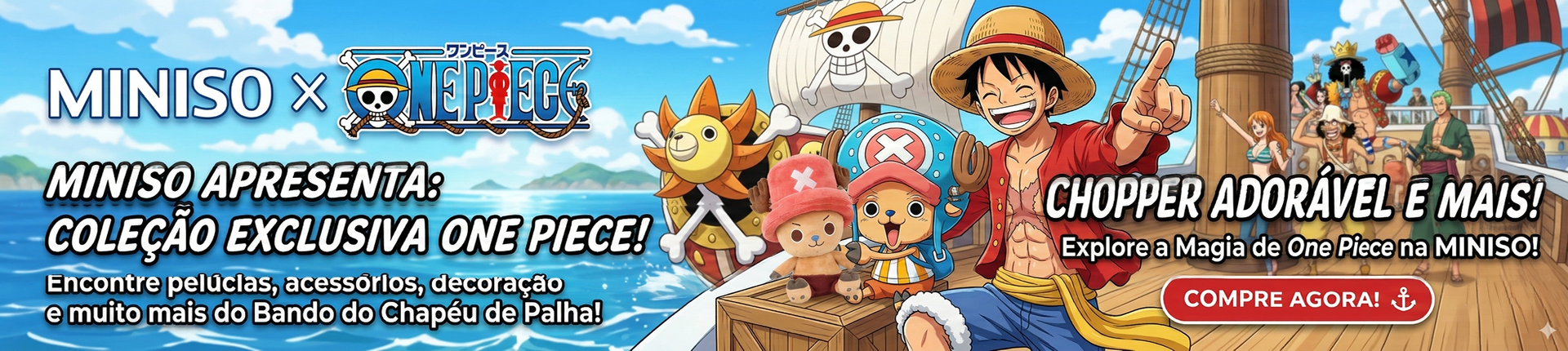 BANNER ONE PIECE