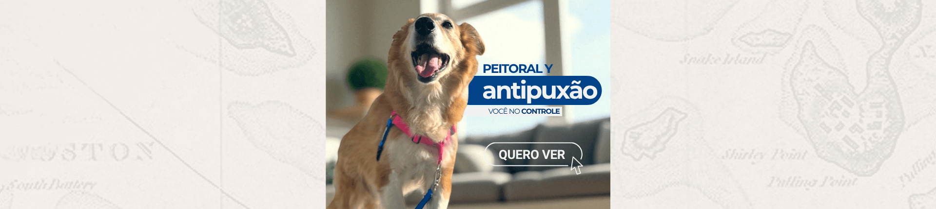 Peitoral Y
