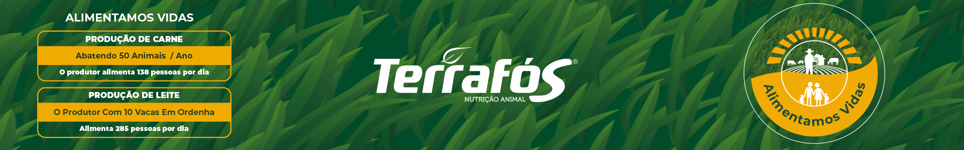 Full Banner campanha 01