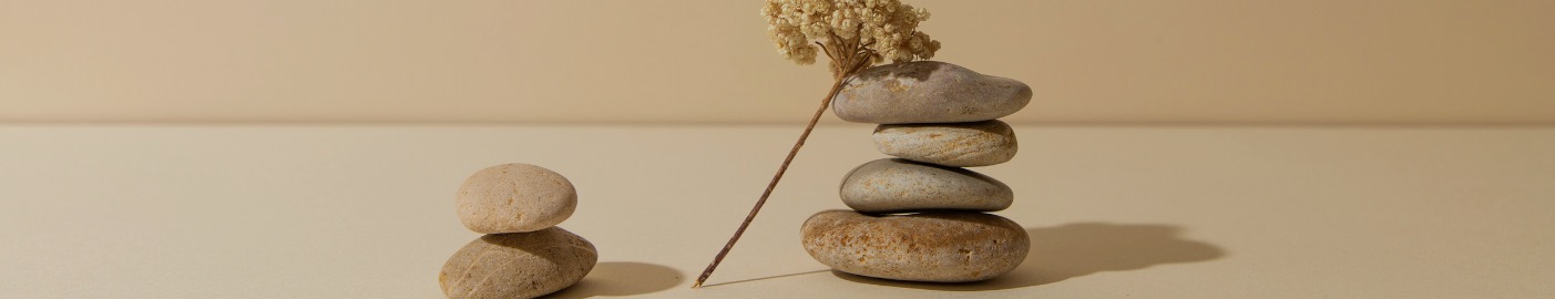 Casa e Equilibrio Paginas Adicionais