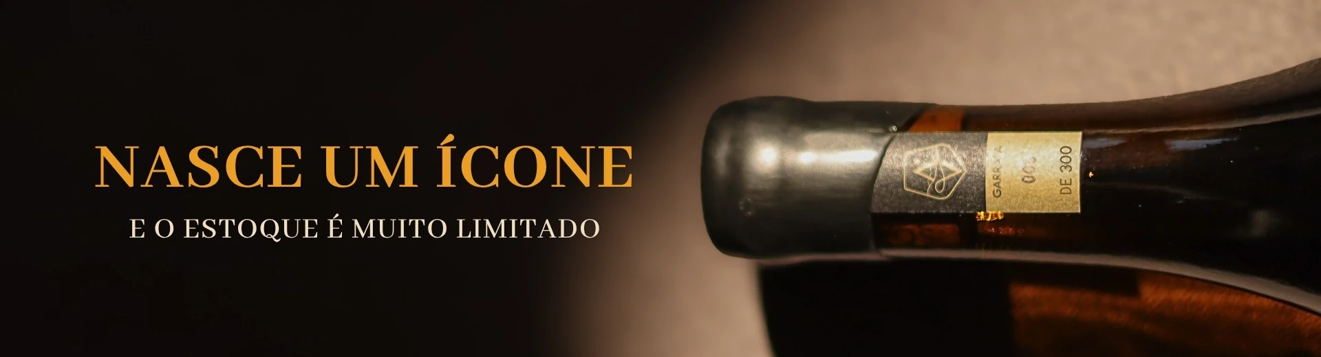Banner ícone