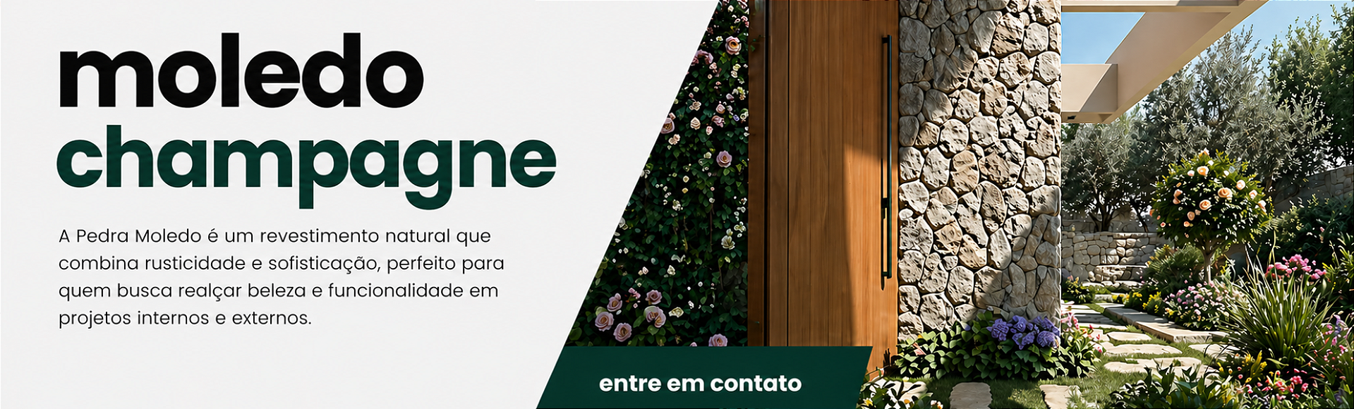 moledo champanhe