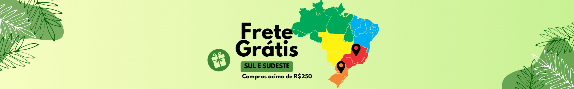 Frete Gratis Sul e Sudeste