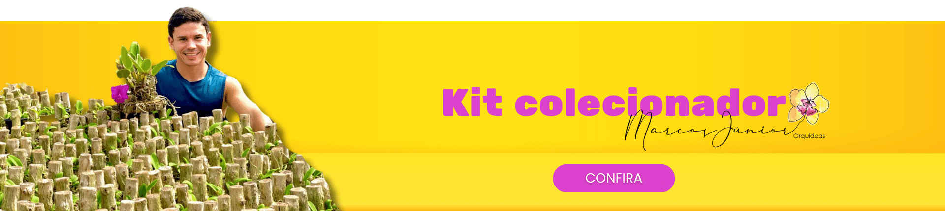 Kit Colecionador 3