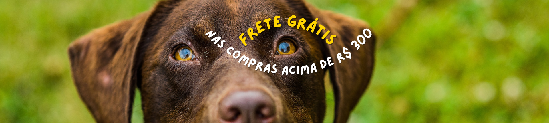 Full Banner Desktop Frete Grátis