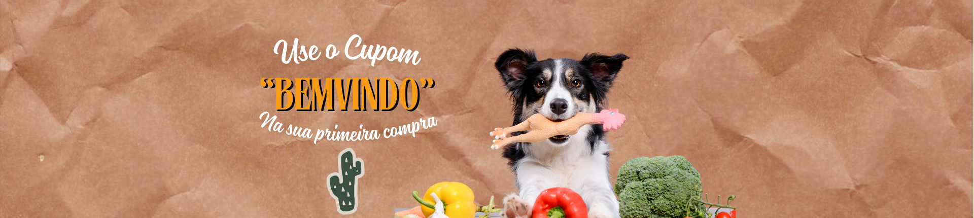 Full Banner Desktop Boas Vindas