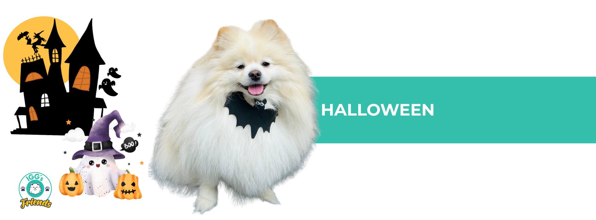 BANNER PRODUTOS PET HALLOWEEN