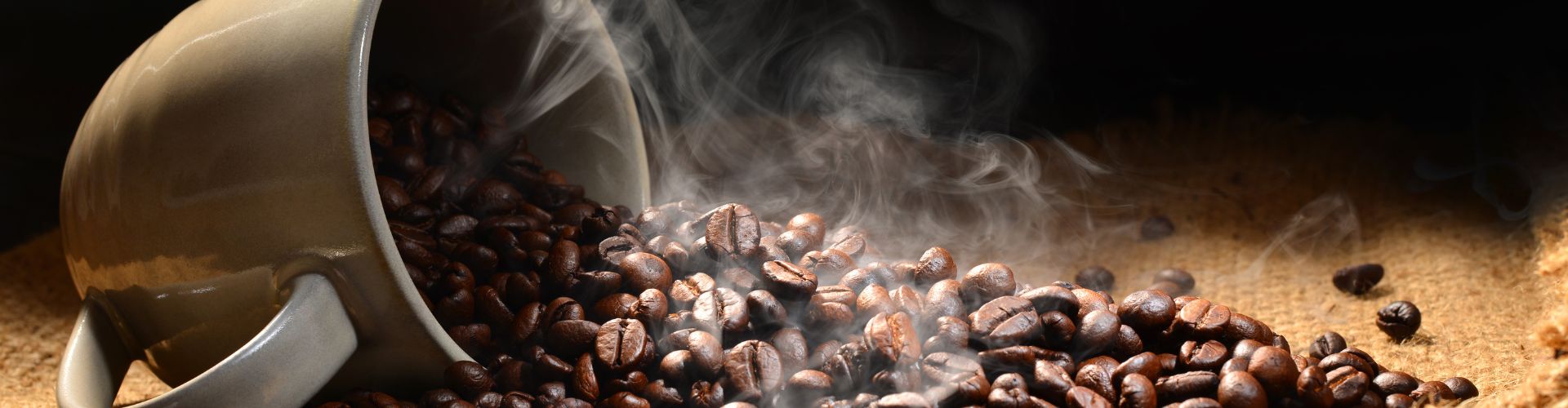 FULL BANNER MODELO 1