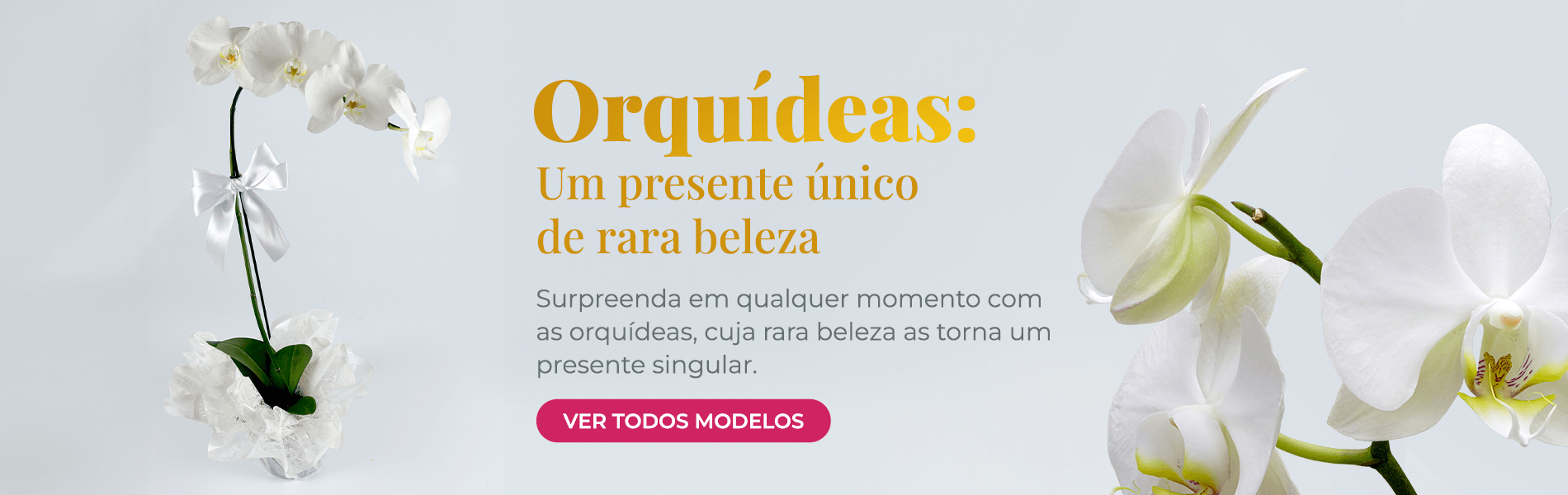 orquideas