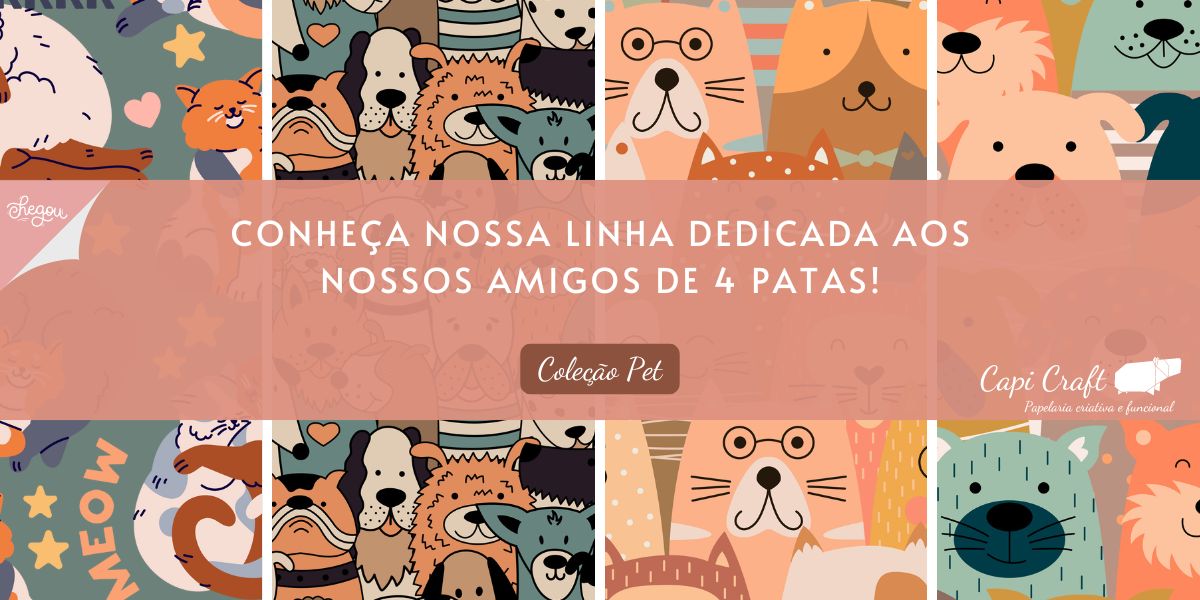 Coleção Destaque