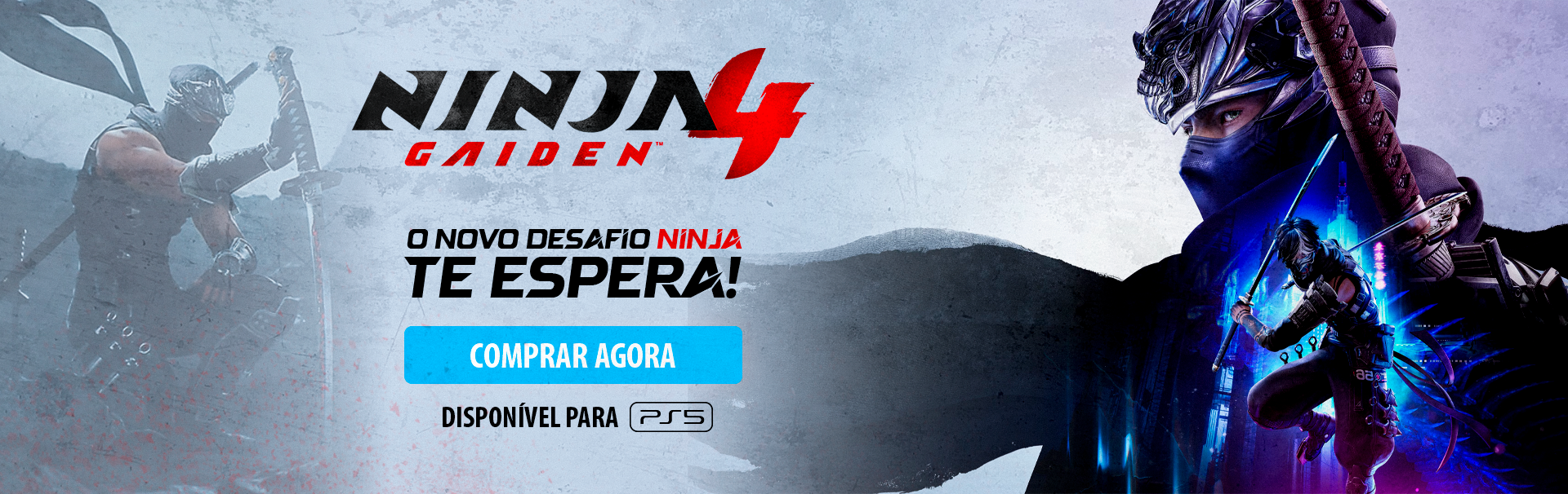 ninja gaiden