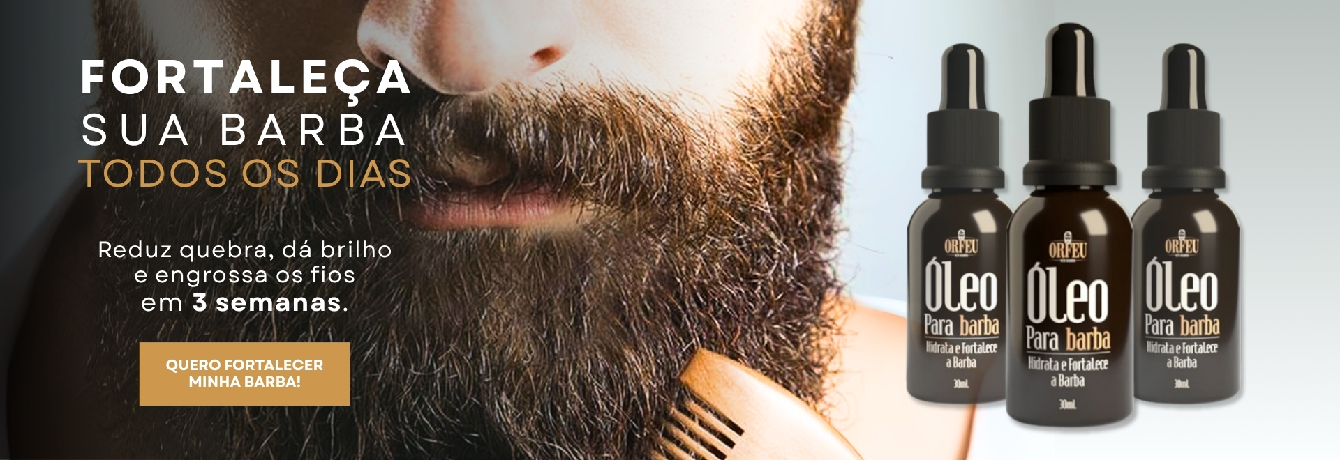 banner óleo
