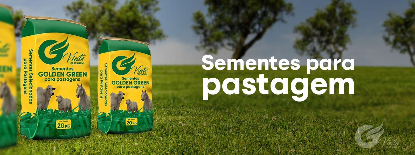 Pastagem