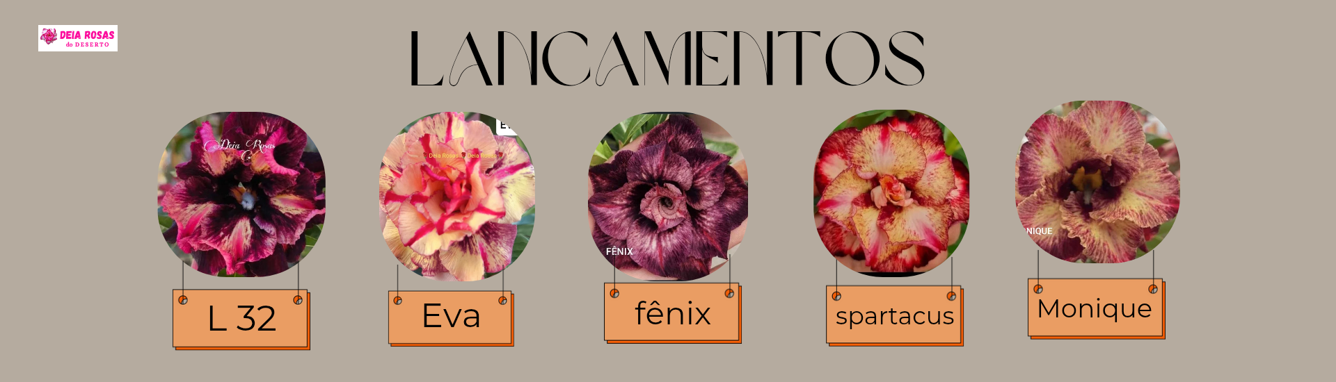 Lançamentos