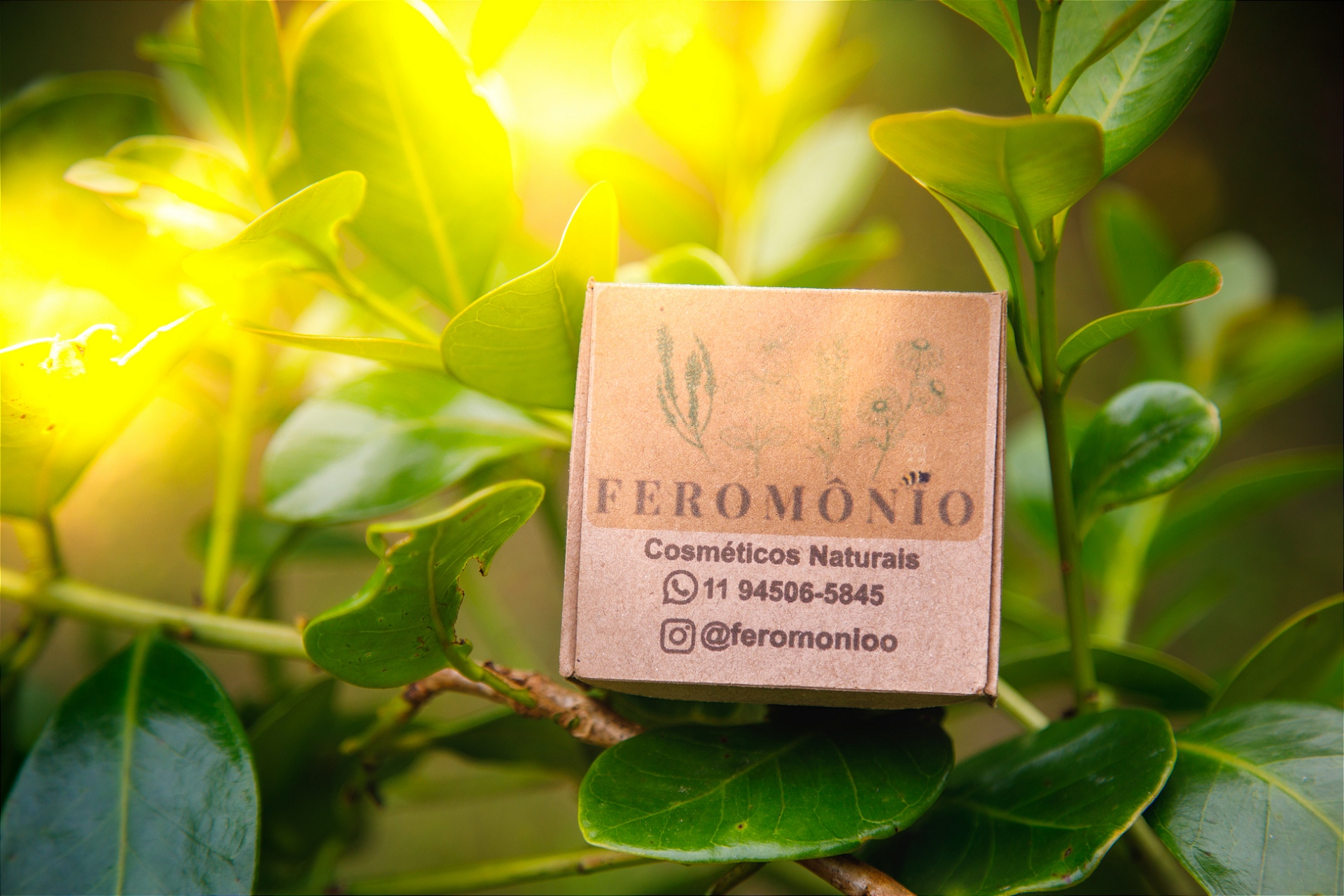 Feromônio