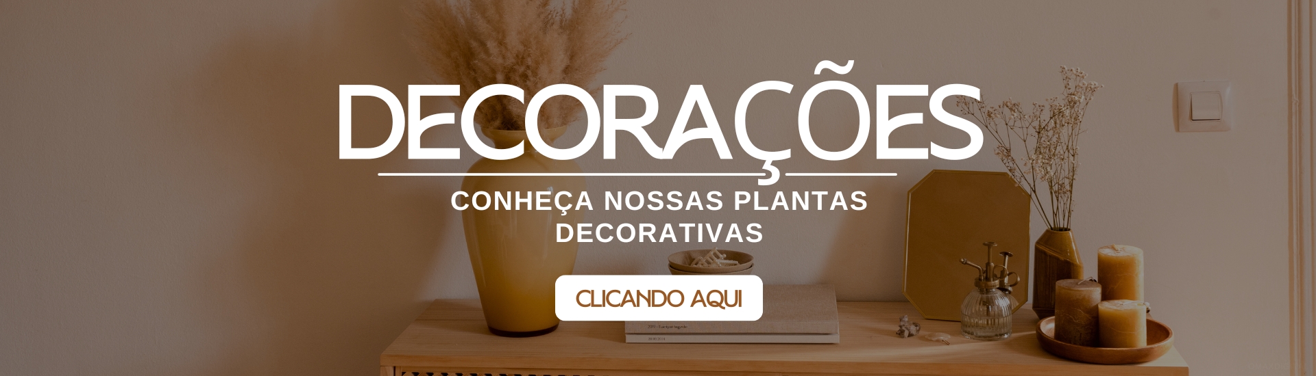 Decorações/Plantas