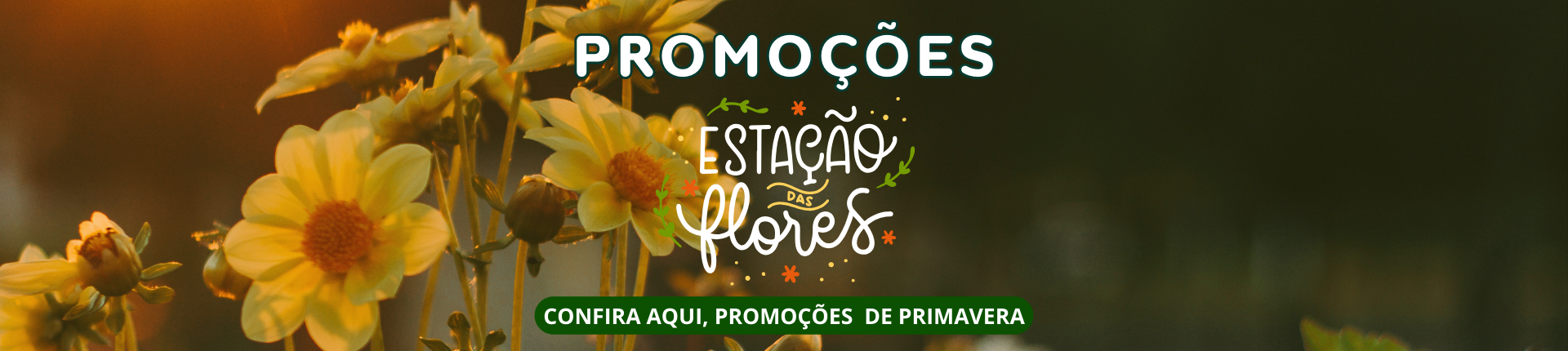Promoções de Primavera