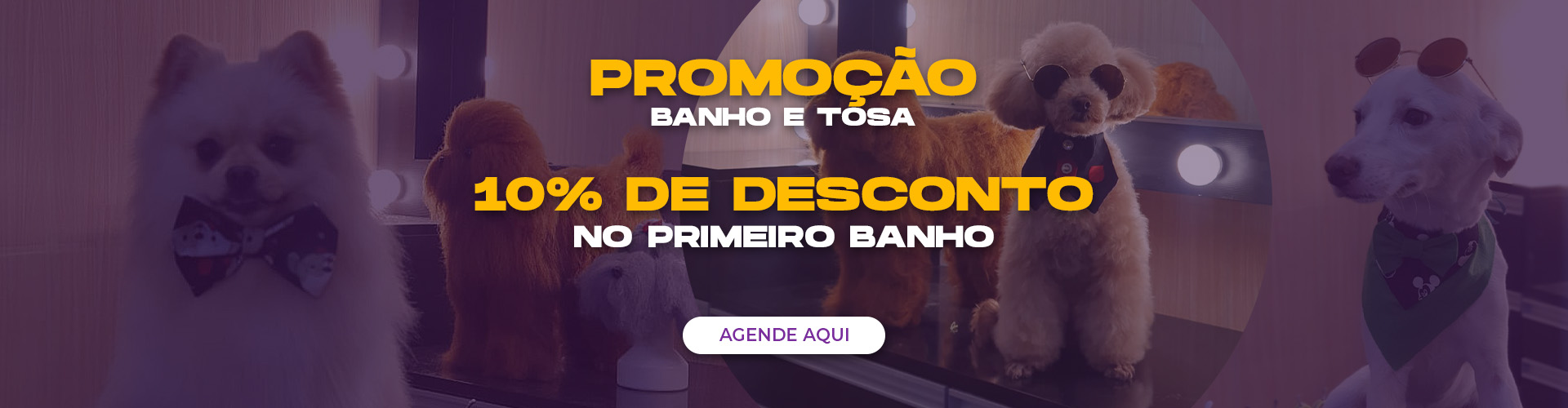 Promo banho e tosa full