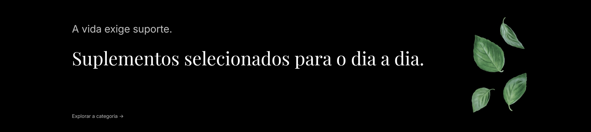 Suplementos