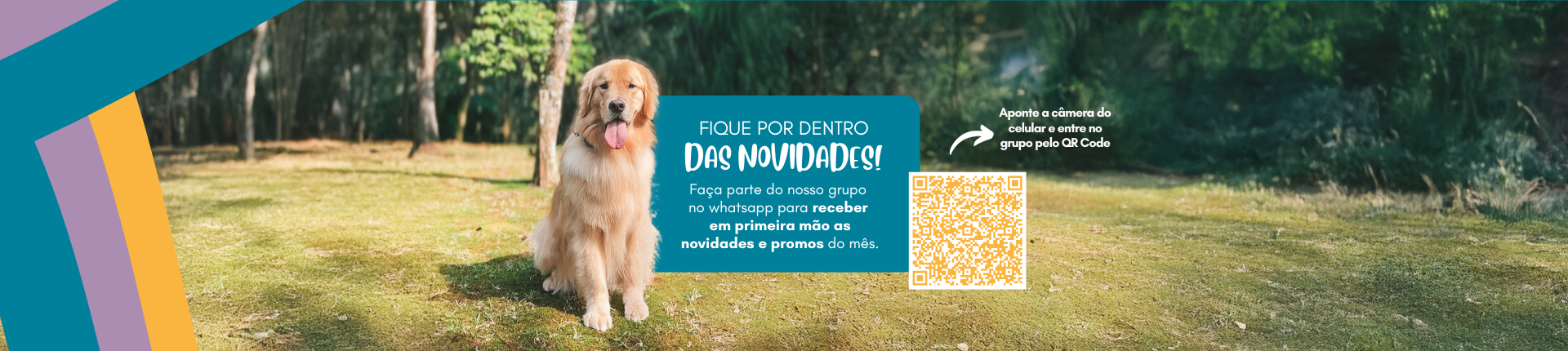 Banner Grupo Novo QR Code