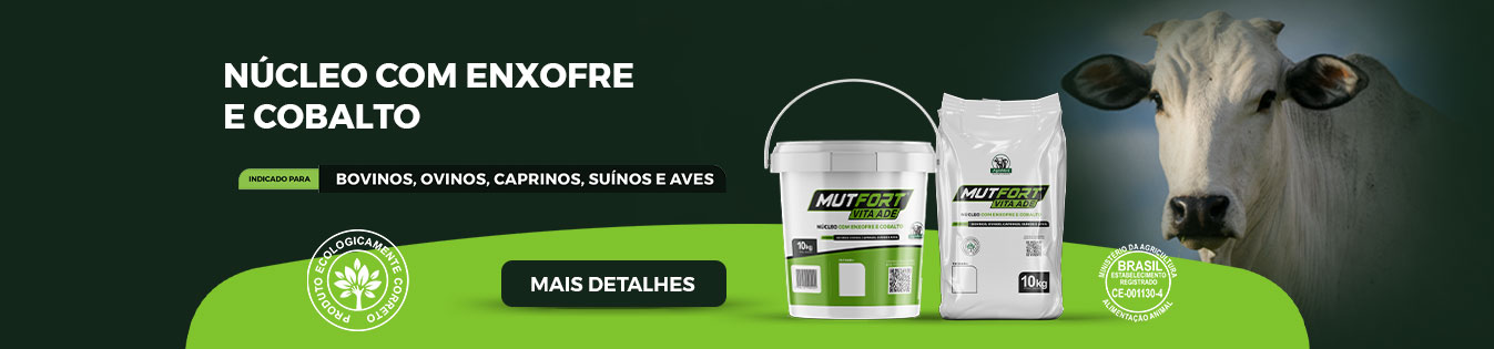 MUT FORT VITA ADE
