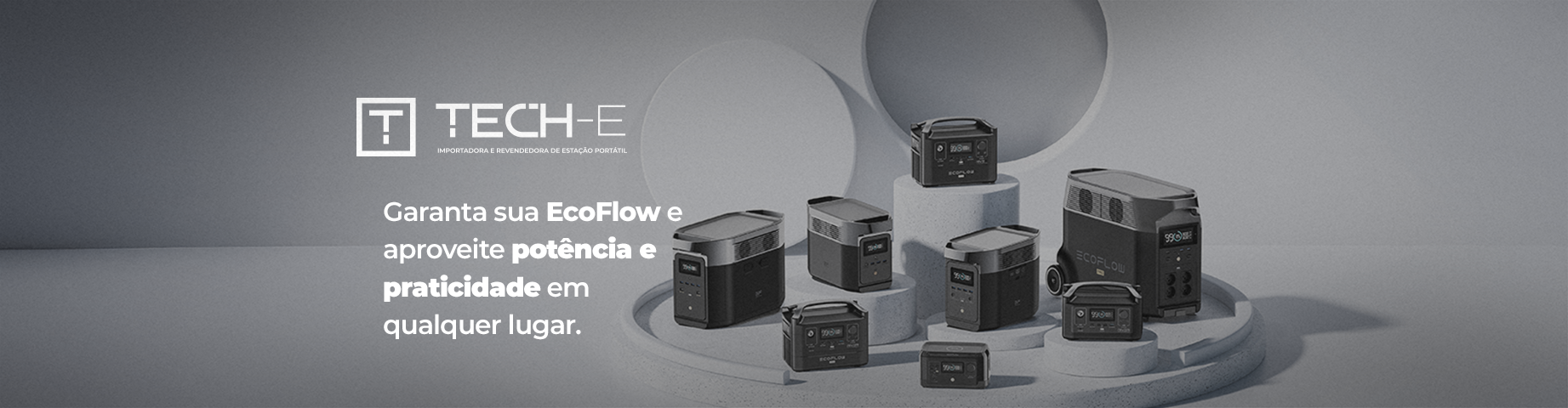 Ecoflow 01