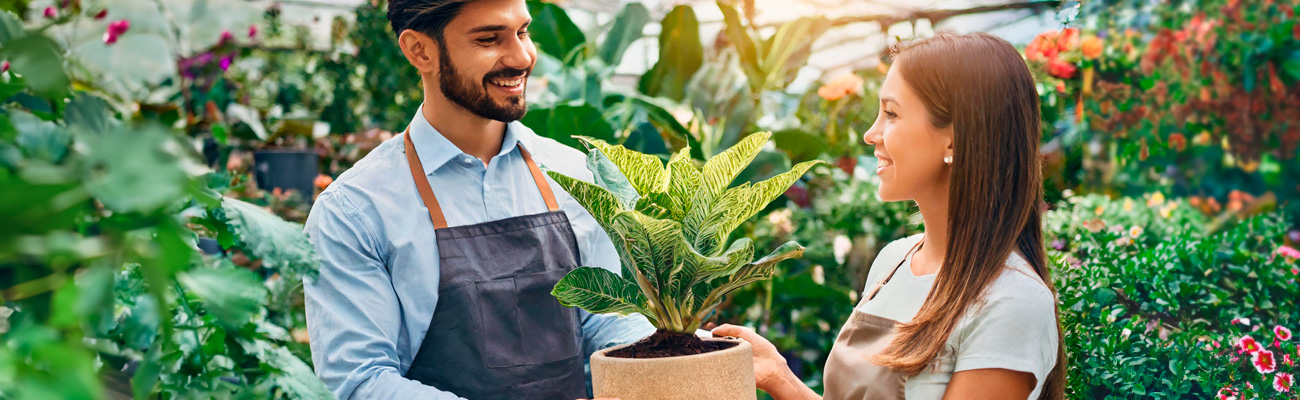 Lyria Flores Garden Londrina Paraná